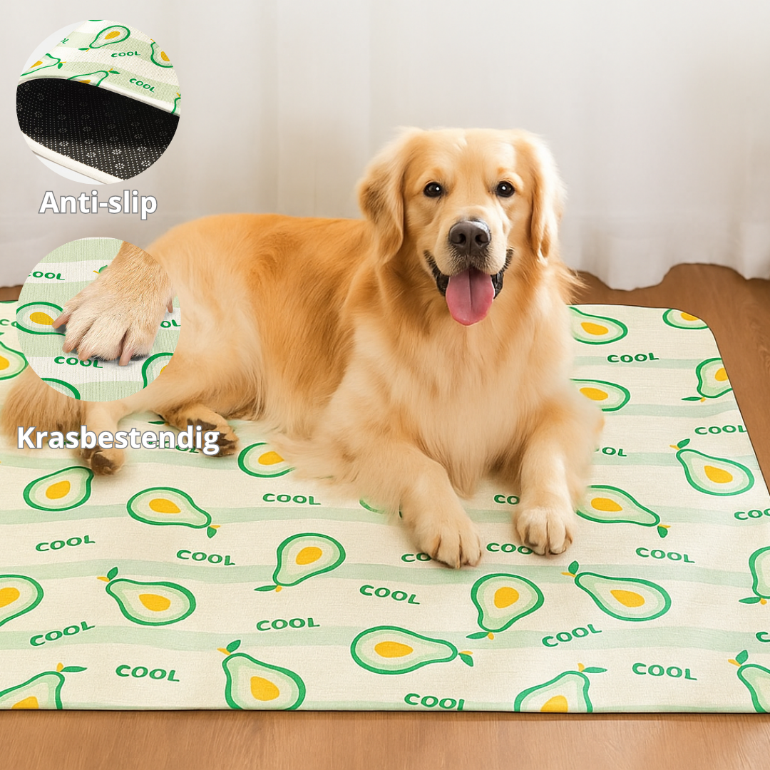 Honden Koelmat - Verkoelend met Vrolijke Fruitprint