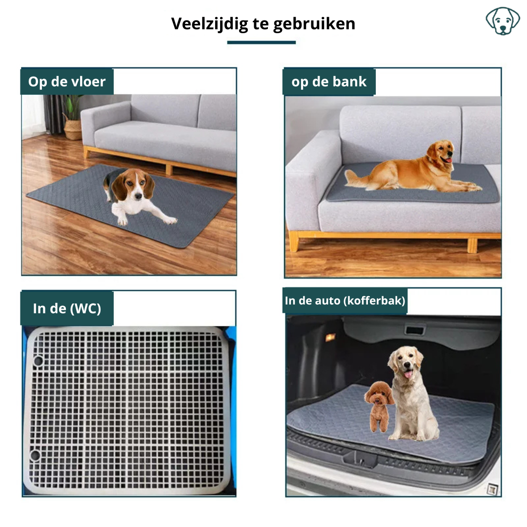 Honden Herbruikbare Zindelijkheidsmat – Duurzaam en Absorberend (Felle kleuren)