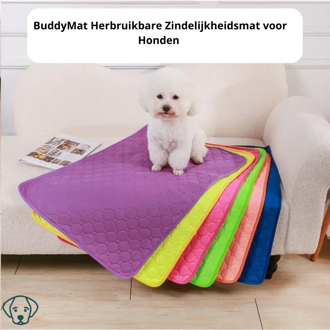 BuddyMat Wiederverwendbare Töpfchen-Trainingsmatte für Hunde – Langlebig und saugfähig (Leuchtende Farben)