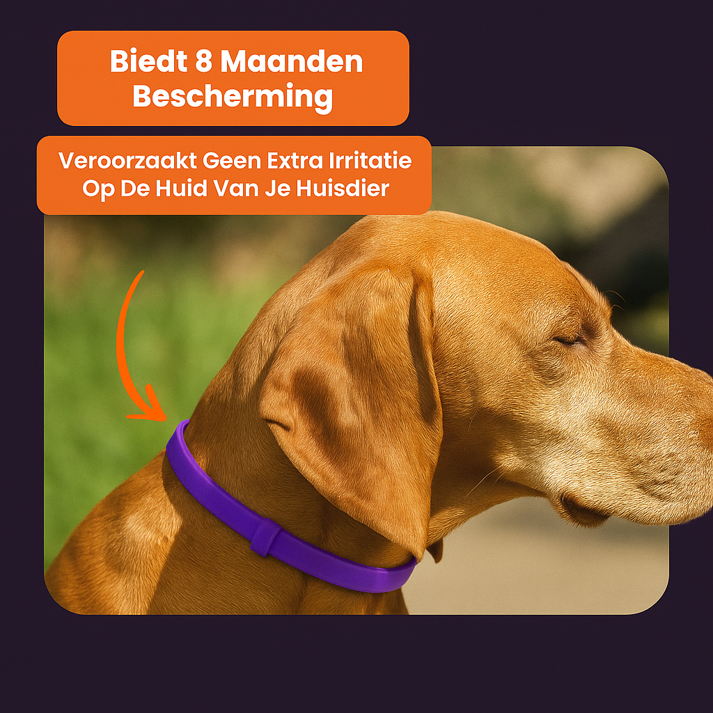 Anti Vlooien- en Tekenband – Natuurlijke Bescherming tot 8 Maanden