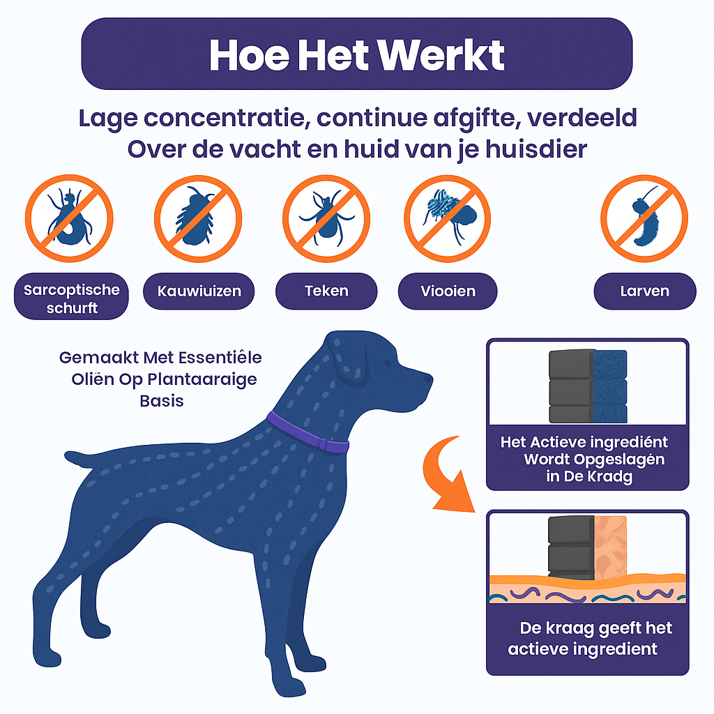 Anti Vlooien- en Tekenband – Natuurlijke Bescherming tot 8 Maanden