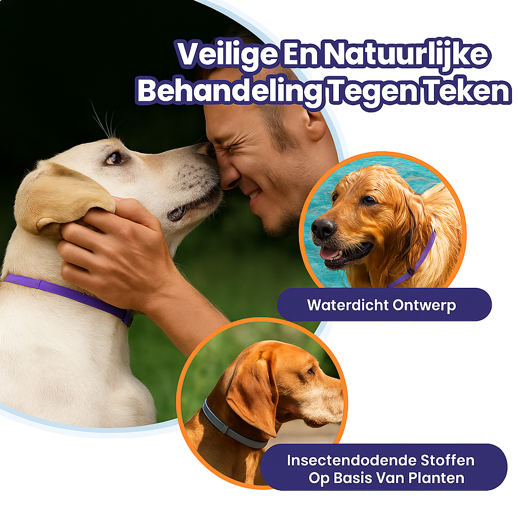 Anti Vlooien- en Tekenband – Natuurlijke Bescherming tot 8 Maanden