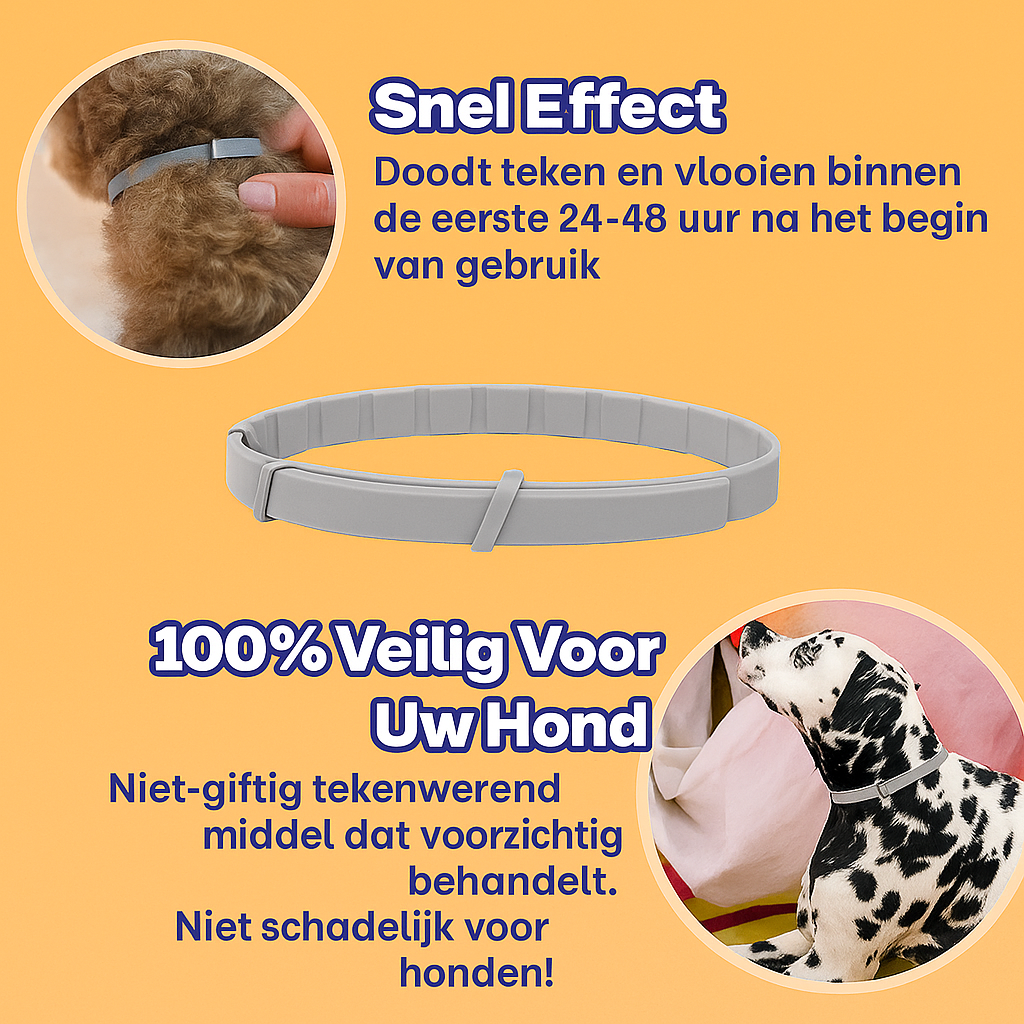 Anti Vlooien- en Tekenband – Natuurlijke Bescherming tot 8 Maanden