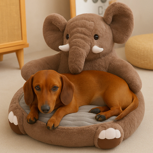 Hondenmand Dierenvorm Knus – Speels Design, Ultiem Comfort