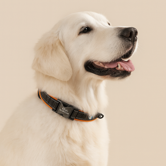 Hondenhalsband Reflecterend Gepersonaliseerd - Luxe, Zacht & Comfortabel