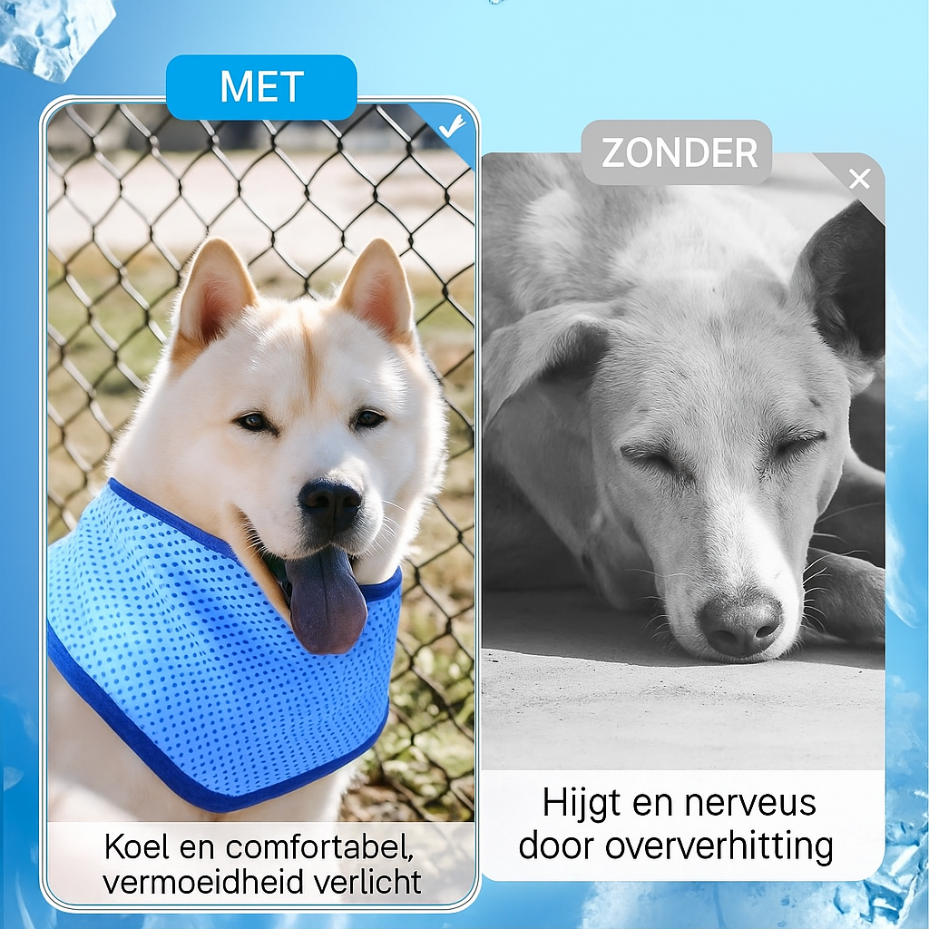 Koelsjaal voor Honden – Verfrissing op Warme Dagen