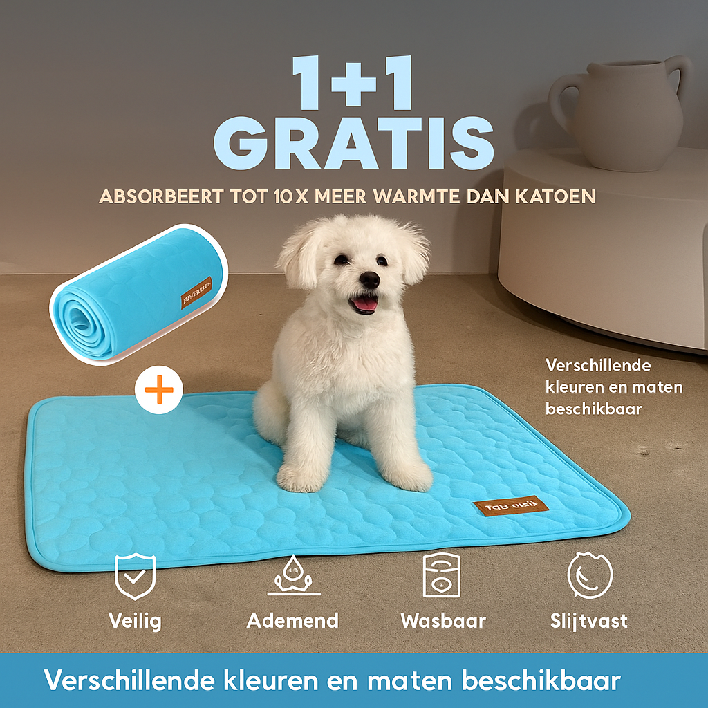 Kühlmatte für Hunde – Abkühlung an wärmeren Tagen