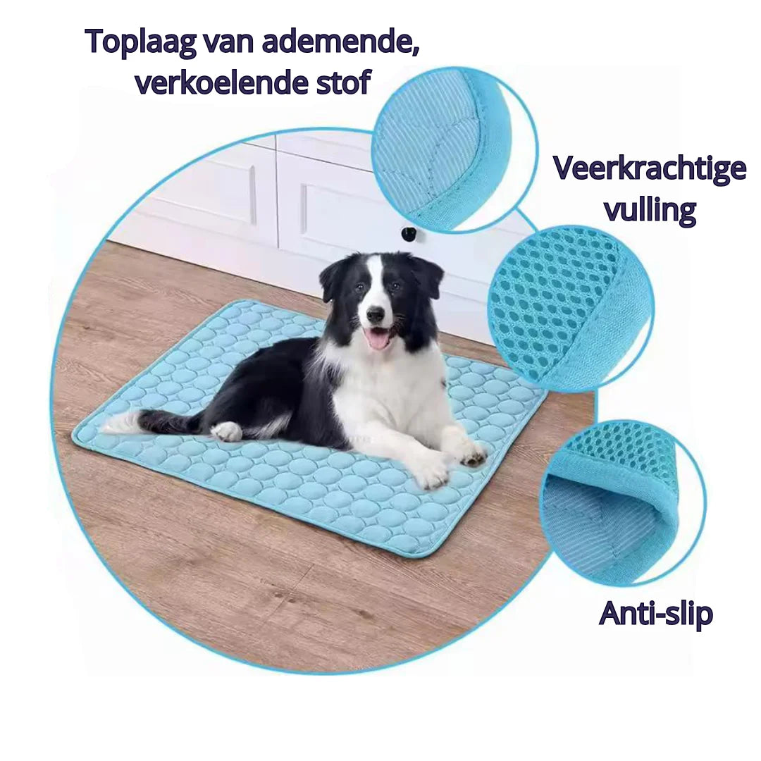Kølemåtte til hunde – Køling på varmere dage