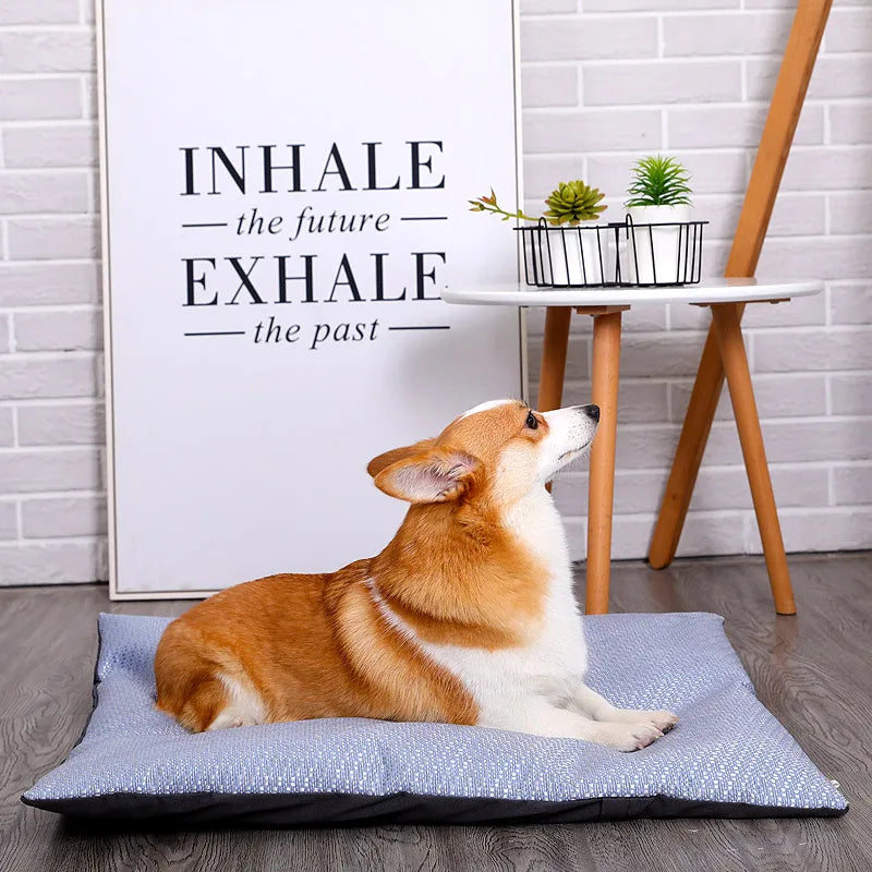 Honden Koelmat Zomer – Verkoelende Mat voor Honden