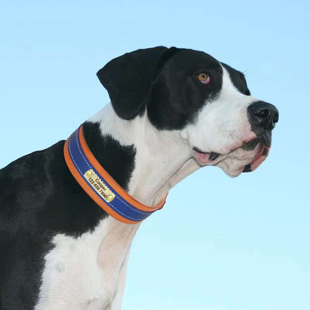 Hond Halsband Leer Zacht – Luxe en Gepersonaliseerde Hondenhalsband met Naam voor Grote Honden
