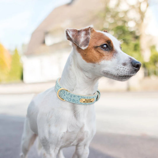 Gepersonaliseerde Leren Halsband met Hartjes – Liefdevolle Stijl & Veiligheid
