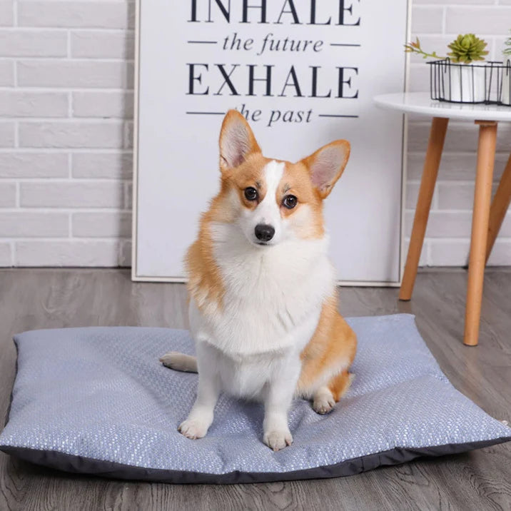 Honden Koelmat Zomer – Verkoelende Mat voor Honden