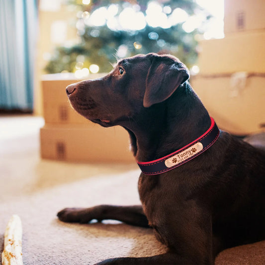 Hond Halsband Leer Dun – Gepersonaliseerde en Verstelbare Hondenhalsband met Naamplaat