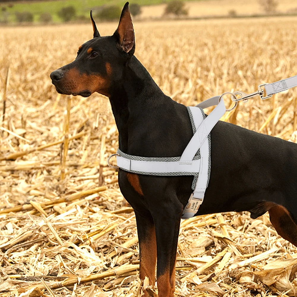 Personalisiertes Hundegeschirr – bequem und ziehfrei