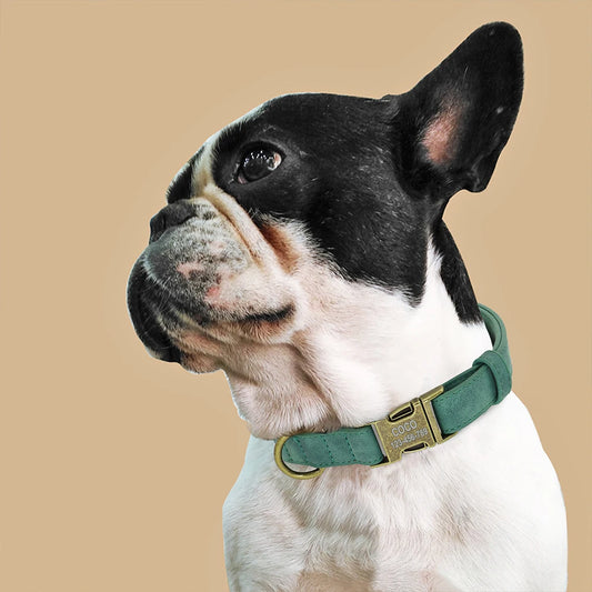 Gepersonaliseerde Leren Halsband – Stijlvol & Veilig