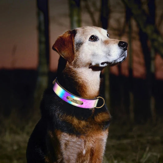 Speciale Reflecterende Halsband – Veiligheid en Stijl voor Jouw Hond