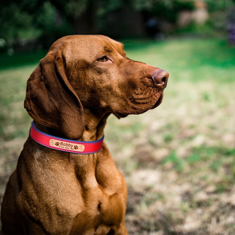Hond Halsband Leer Dun – Gepersonaliseerde en Verstelbare Hondenhalsband met Naamplaat
