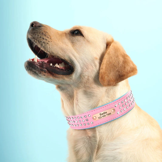 Gepersonaliseerde Halsband met Diamantjes – Stijlvol & Uniek