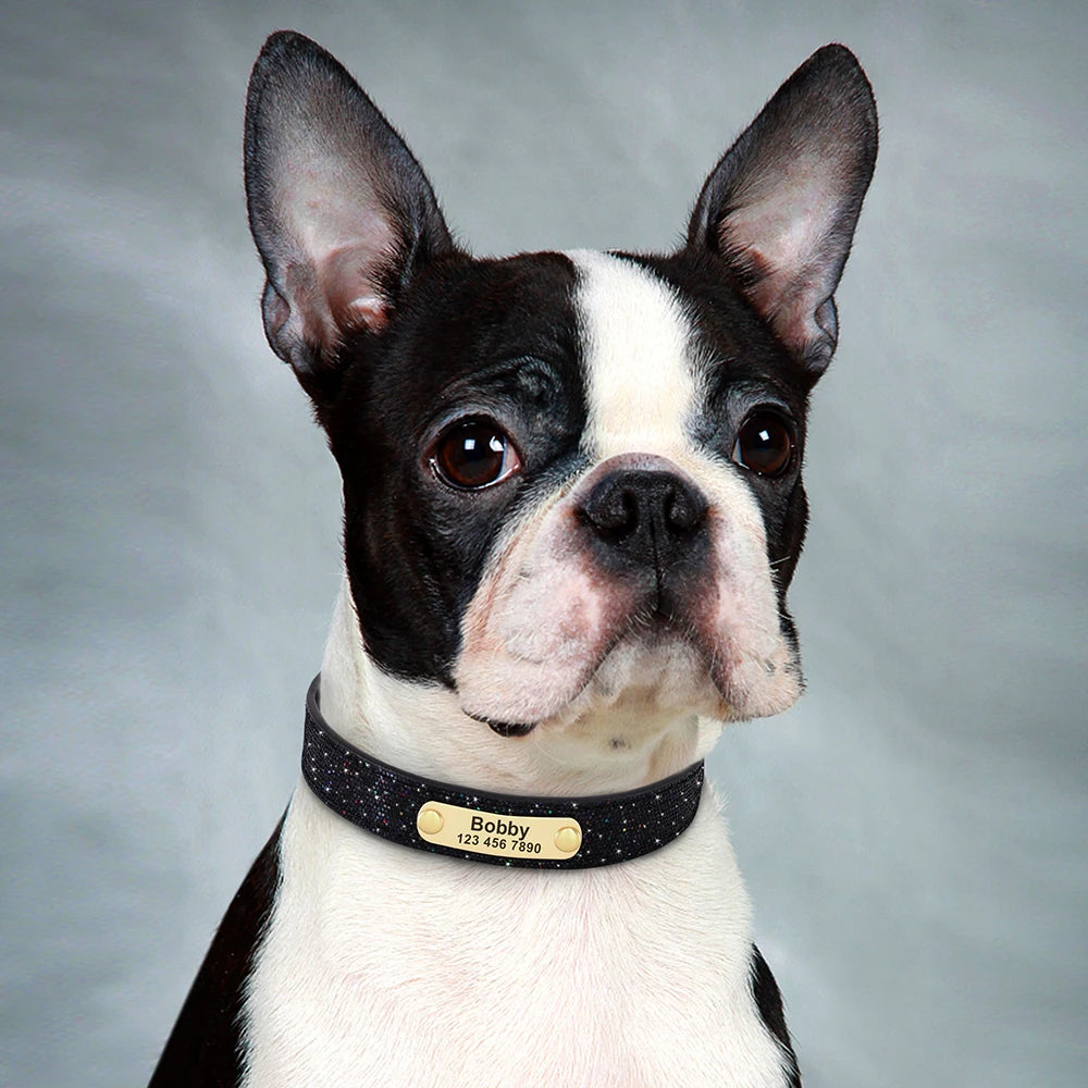 Personalisiertes Glitzerhalsband – Stil und Sicherheit für Ihren Hund