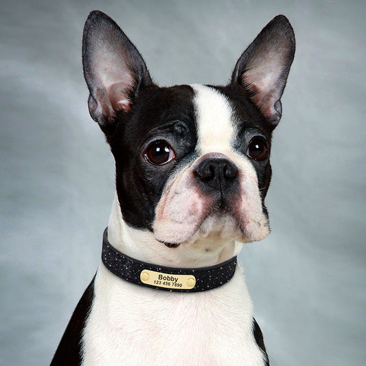 Gepersonaliseerde Halsband met Glitters – Stijl en Veiligheid voor Jouw Hond