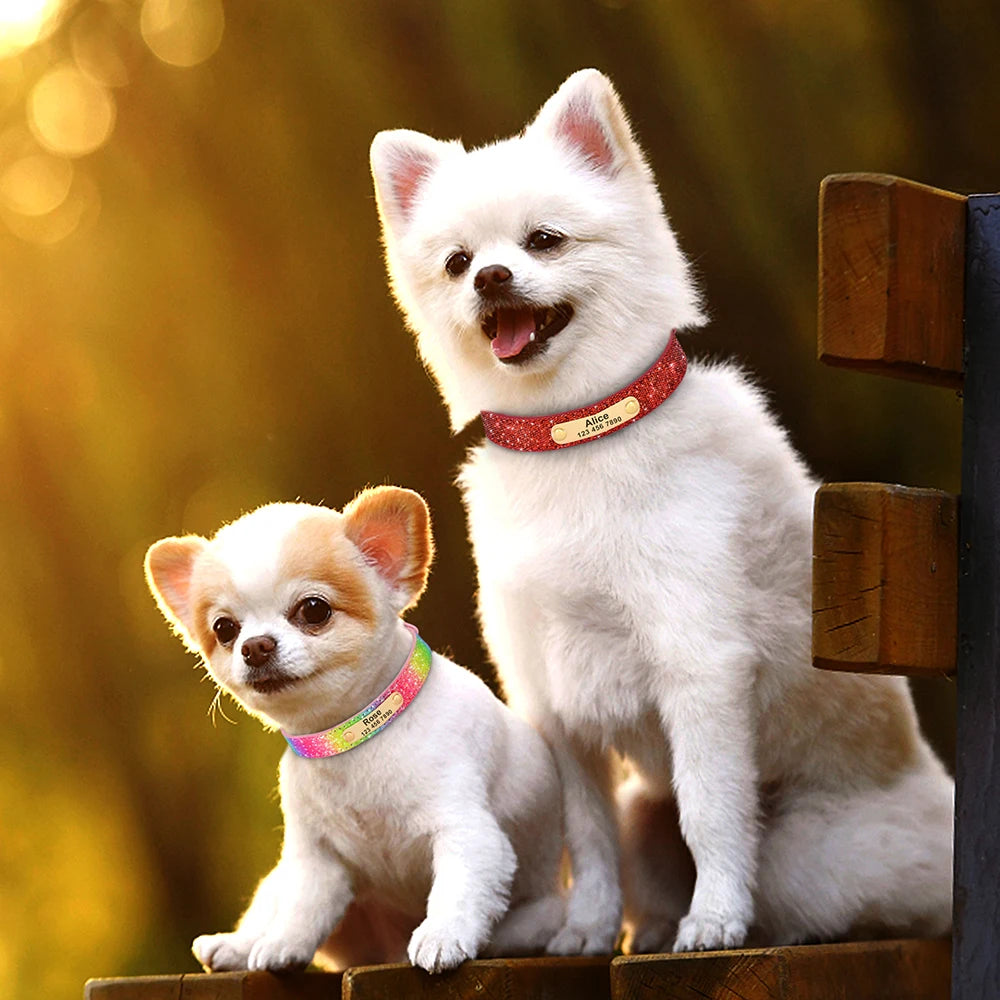 Personalisiertes Glitzerhalsband – Stil und Sicherheit für Ihren Hund