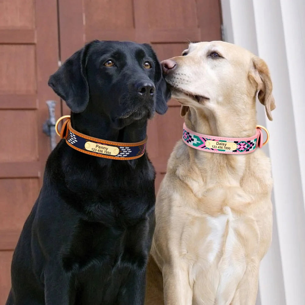 Personalisiertes besticktes Halsband – Einzigartig & Bequem