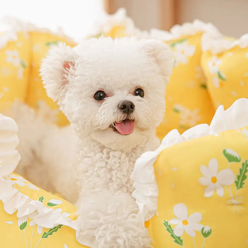 Glad og behagelig kurv til din hund – perfekt til ethvert soveøjeblik