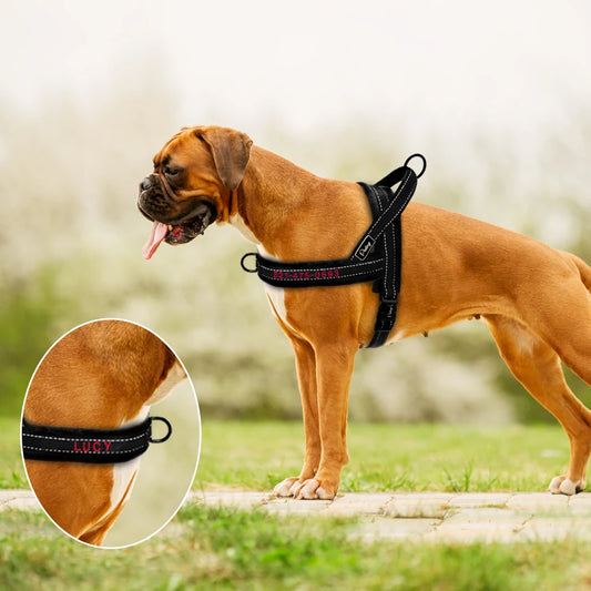 Hondentuig Zacht & Reflecterend Gepersonaliseerd – Comfort & Veiligheid