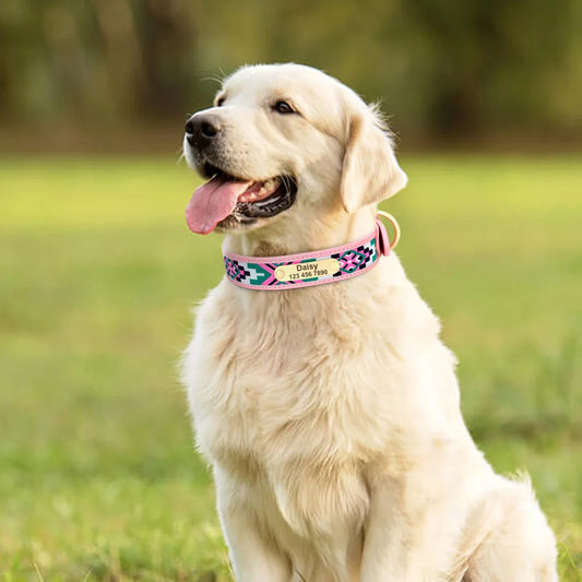 Gepersonaliseerde Geborduurde Halsband – Uniek & Comfortabel