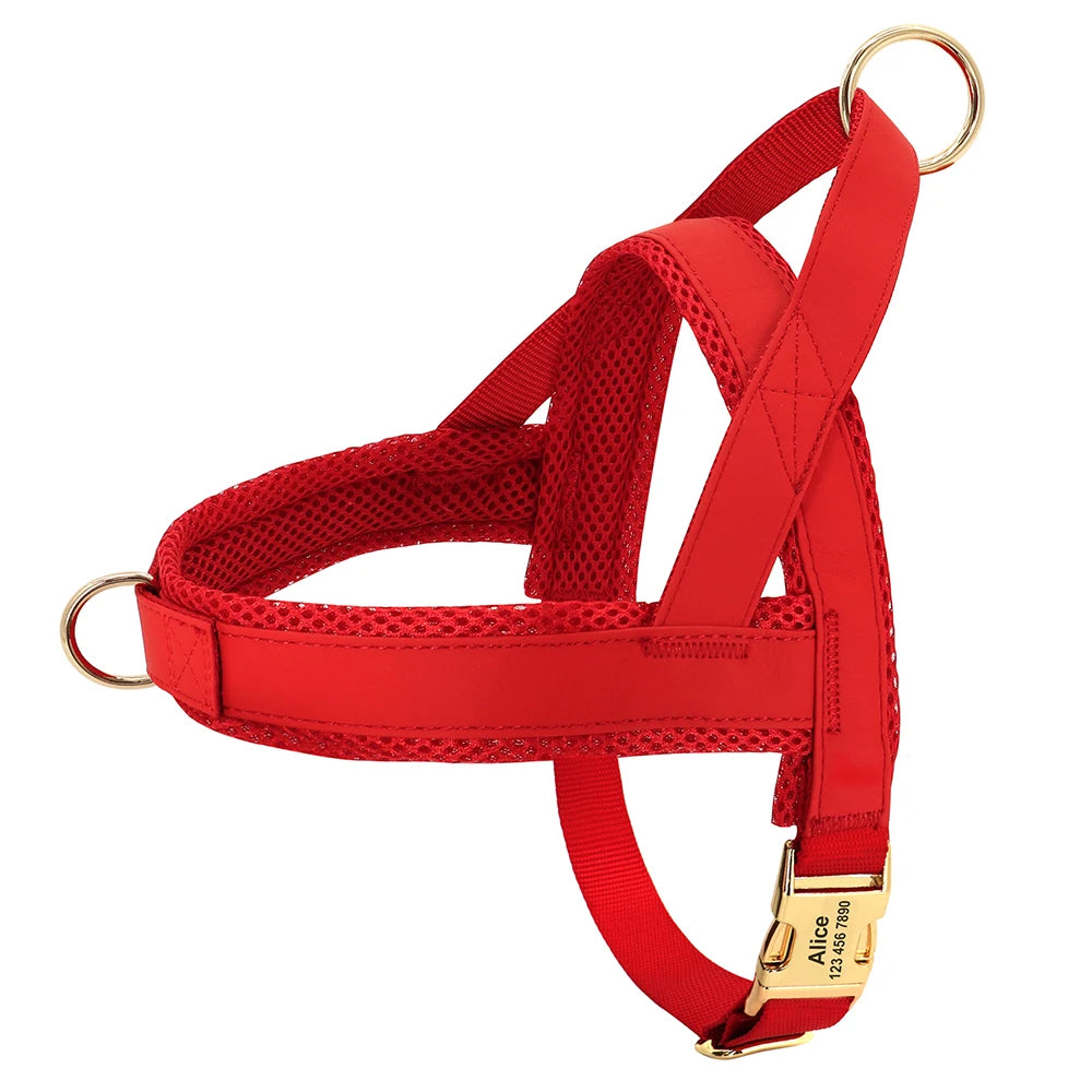 Hundegeschirr Personalisiert – Bequem & Zugfrei