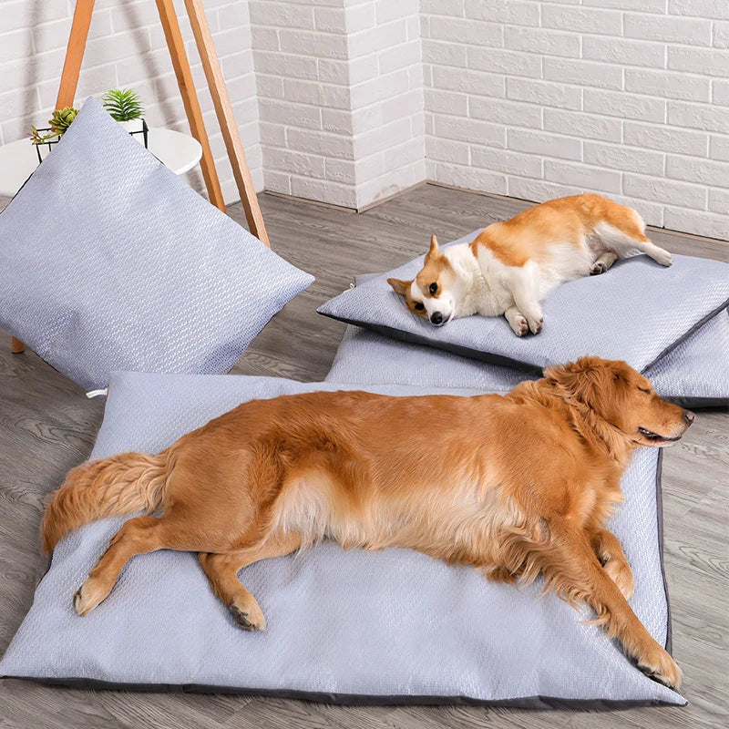 Koel Kussen voor Huisdieren – Comfortabele Verkoeling voor je Hond