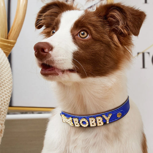 Gepersonaliseerde Halsband met Grote Letters & Symbolen
