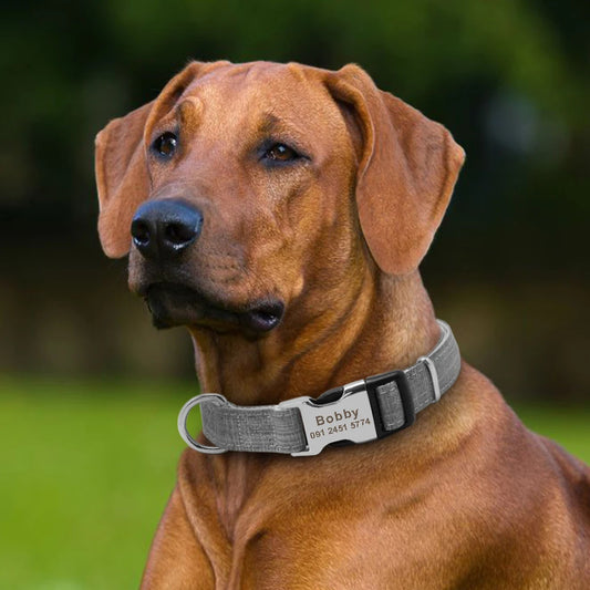 Gepersonaliseerde Vintage Halsband - Stijlvol en Veilig
