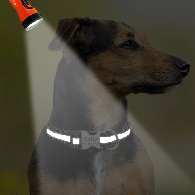 Hond Halsband Reflecterend – Gepersonaliseerde en Verstelbare Hondenhalsband met Naam en Zichtbaarheid
