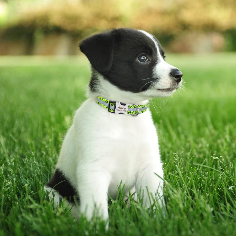 Hond Halsband Reflecterend – Gepersonaliseerde en Verstelbare Hondenhalsband met Naam en Zichtbaarheid