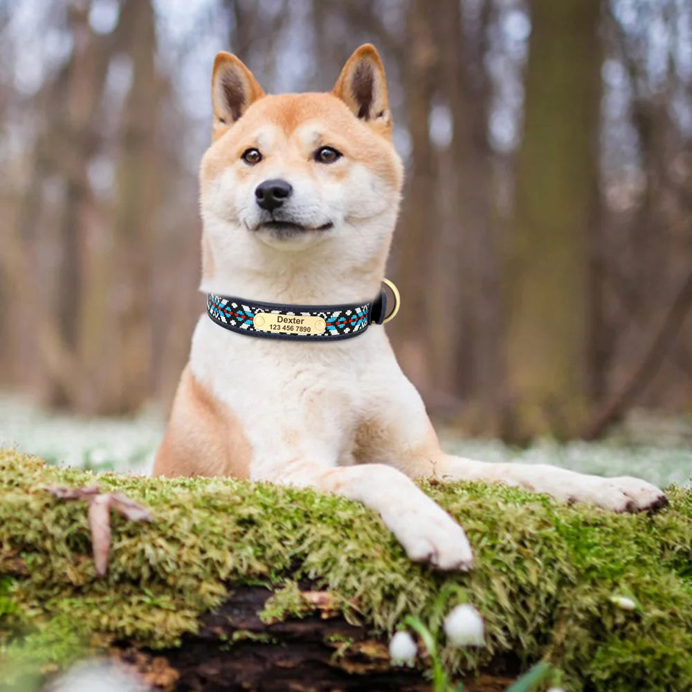 Personalisiertes besticktes Halsband – Einzigartig & Bequem