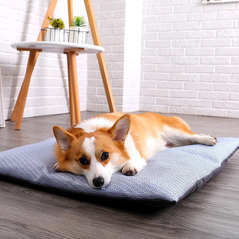 Koel Kussen voor Huisdieren – Comfortabele Verkoeling voor je Hond