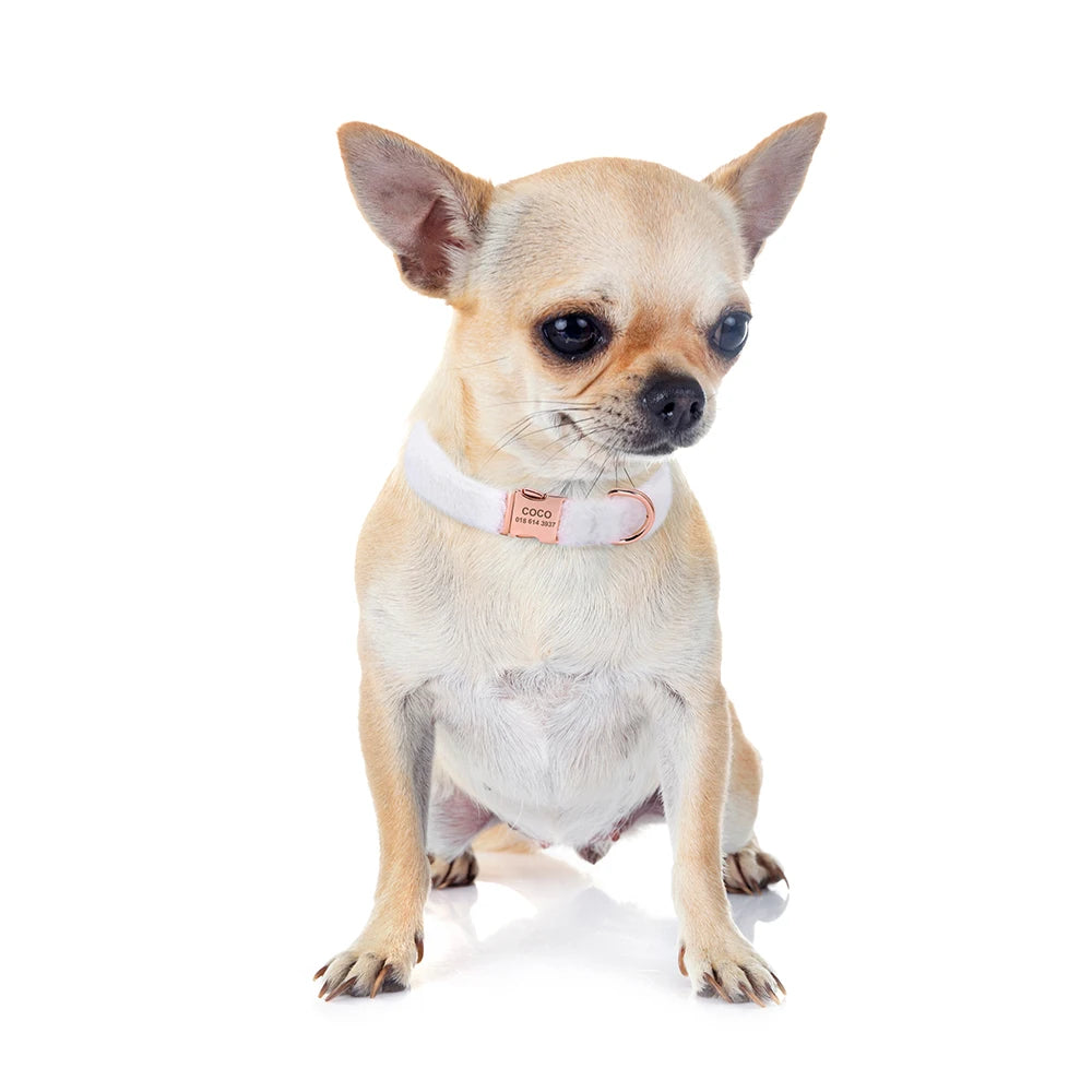 Gepersonaliseerde Teddy Halsband – Warm, Zacht en Veilig