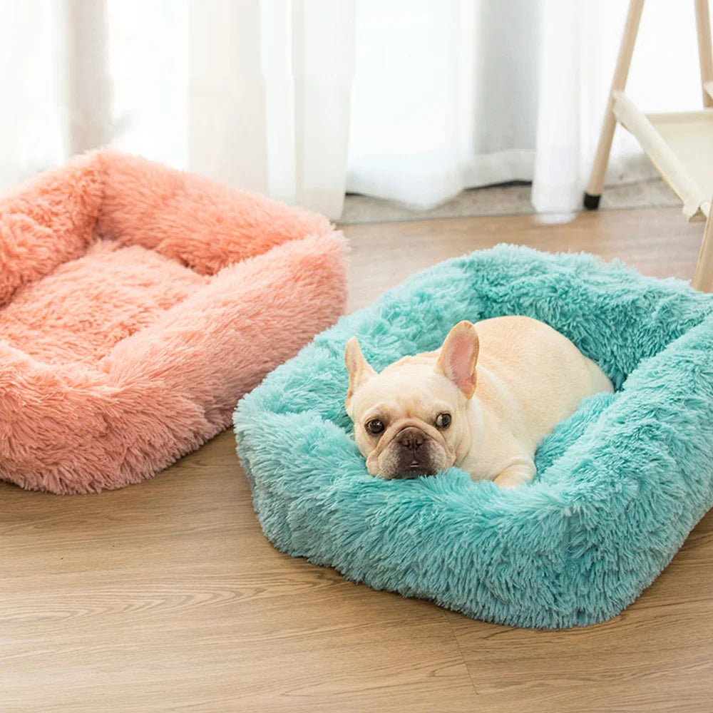 Superweiches quadratisches Hundebett – Komfort und Sicherheit für Ihren Hund