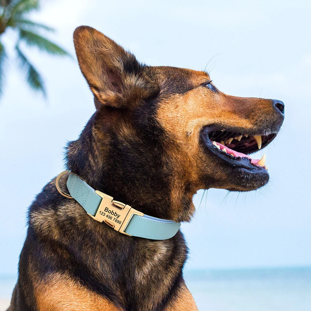 Hond Halsband Stevig – Duurzame, Verstelbare en Gepersonaliseerde Hondenhalsband met Naam