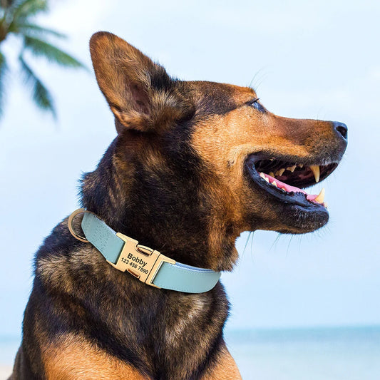 Hond Halsband Stevig – Duurzame, Verstelbare en Gepersonaliseerde Hondenhalsband met Naam
