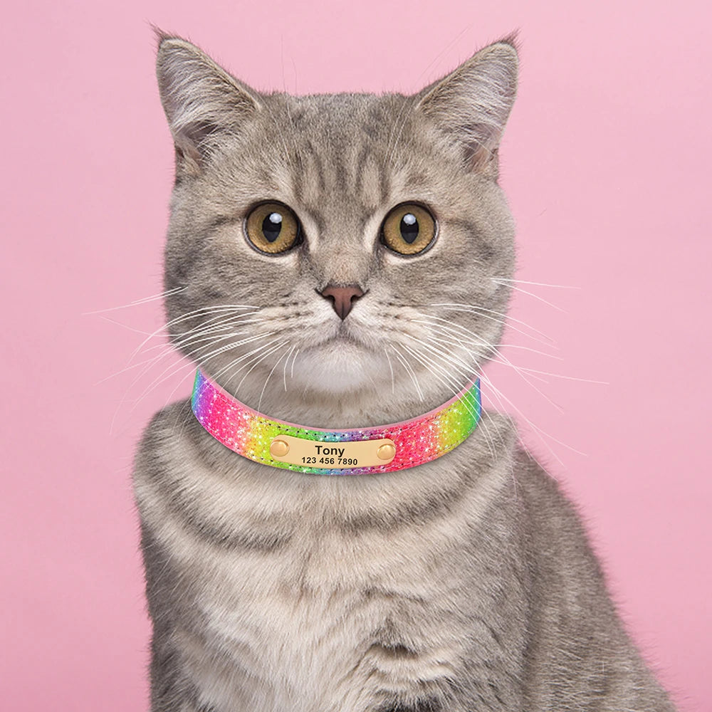Personalisiertes Glitzerhalsband – Stil und Sicherheit für Ihren Hund