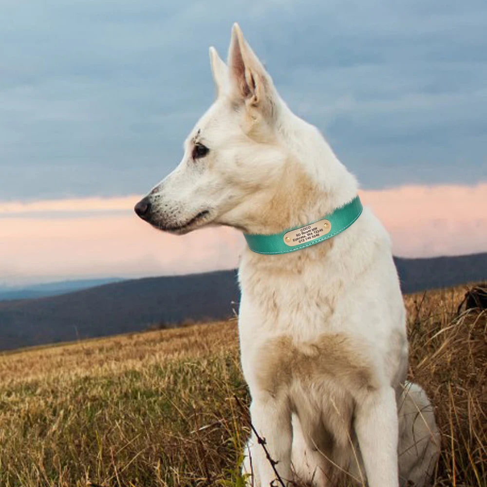 Hond Halsband Leer Gepersonaliseerd – Brede en Verstelbare Leren Hondenhalsband met Naam