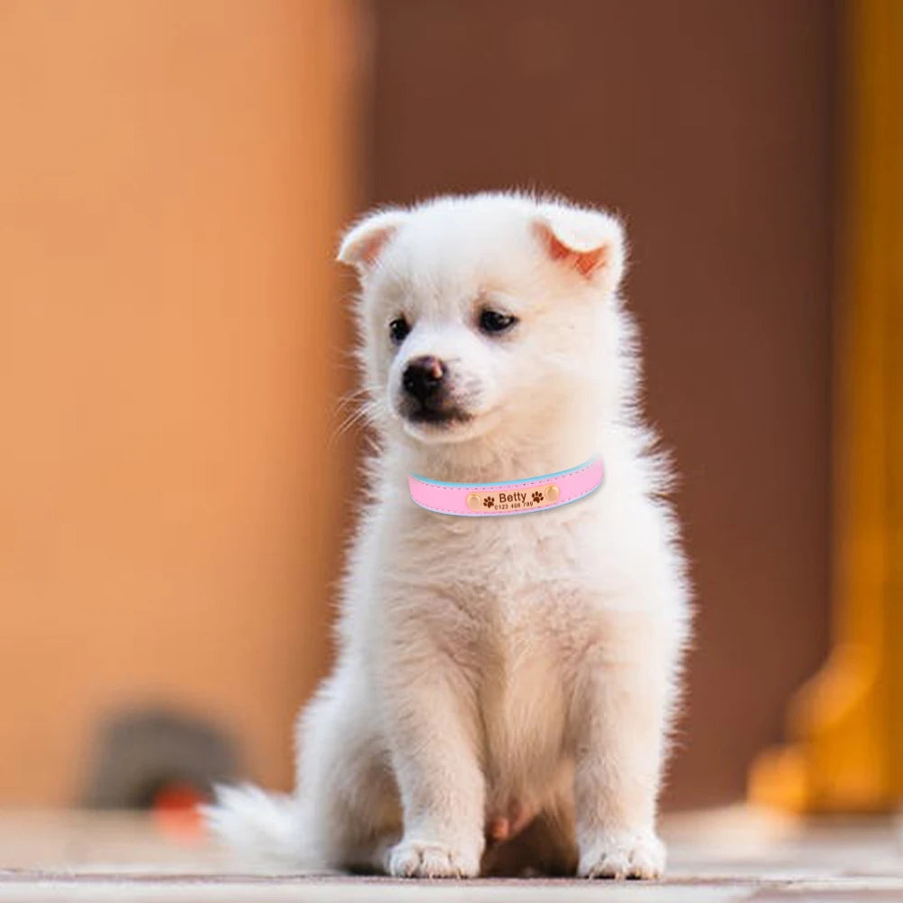 Hond Halsband Leer Dun – Gepersonaliseerde en Verstelbare Hondenhalsband met Naamplaat