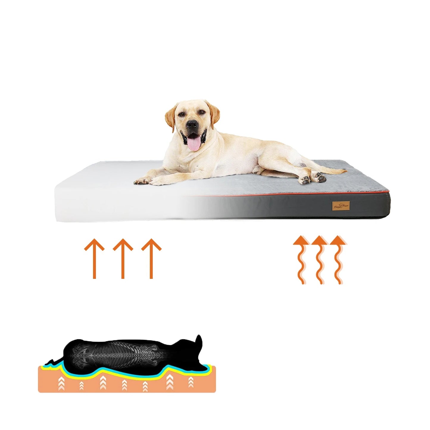 Großes orthopädisches Hundebett – wasserdicht, stützend und leicht zu reinigen