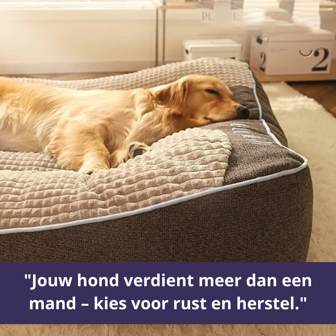 Hondenbed Orthopedisch Luxe – Ondersteuning & Comfort