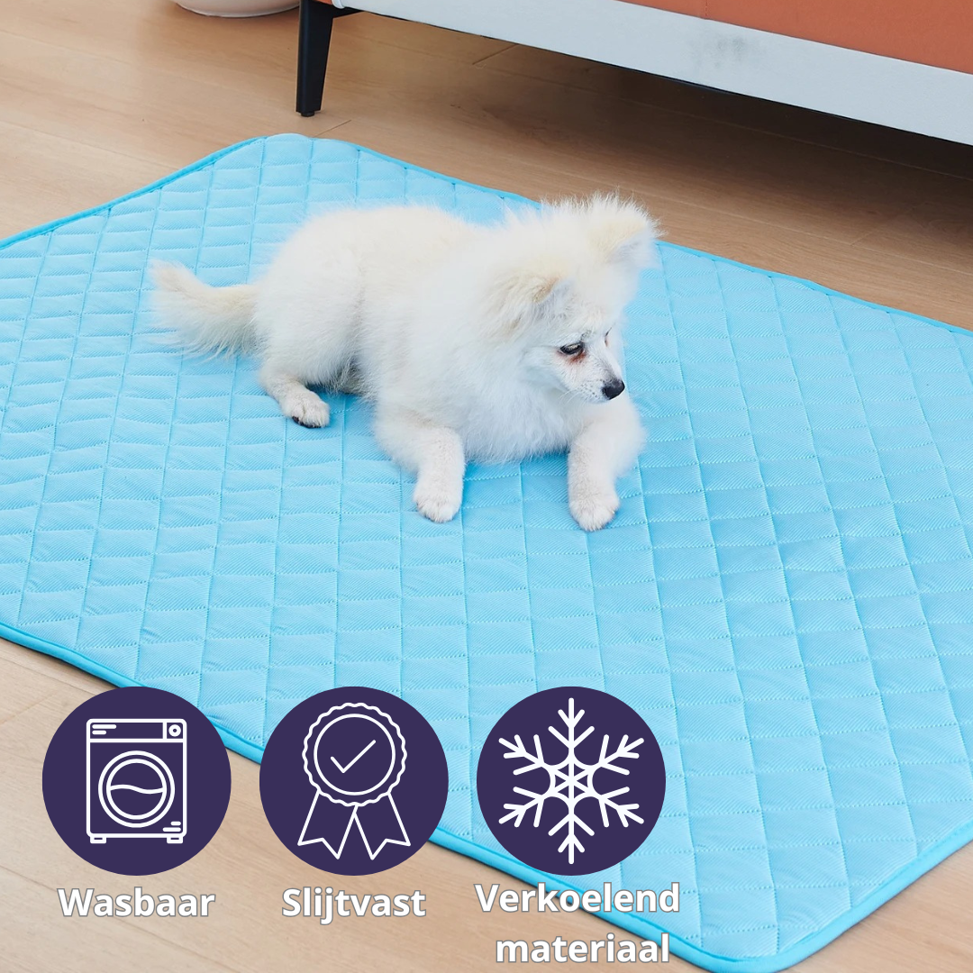 Kühlmatte für Hunde – Abkühlung an wärmeren Tagen