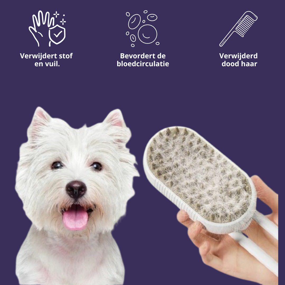 Hunde-Dampfbürste – Tiefenreinigung & Pflege