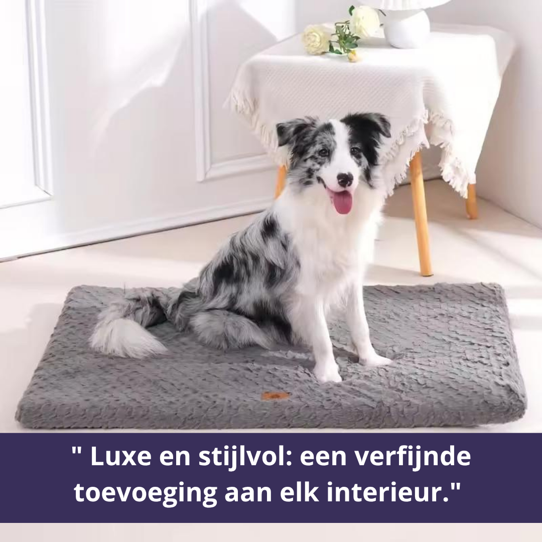 Hundekissen Orthopädisch – Luxus, Komfort & Design