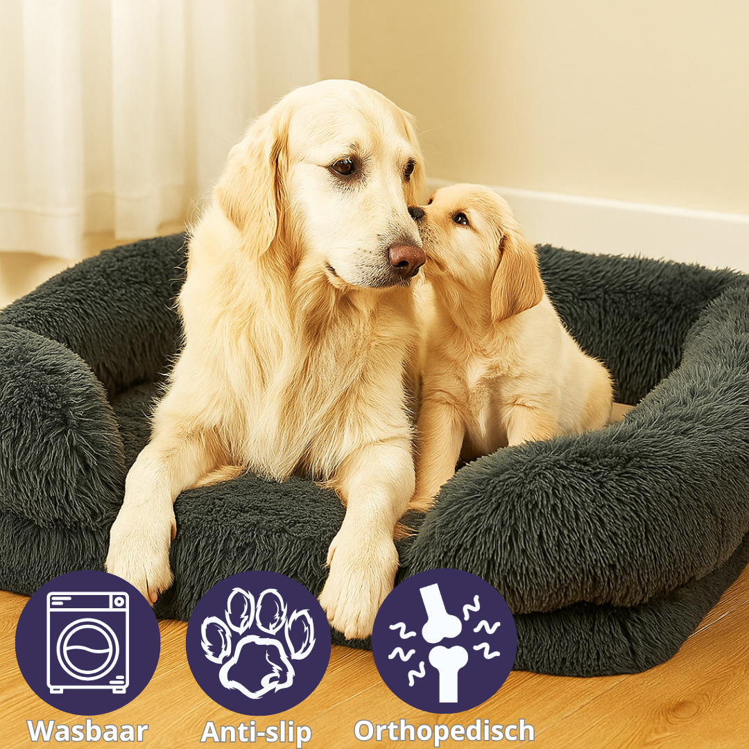 Weiches orthopädisches Hundebett – warm, stützend und waschbar